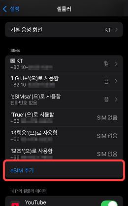 IOS esim 지원여부
